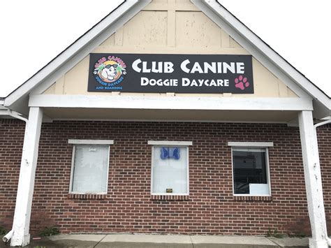 TOP 10 BEST Doggie Day Care in Carmel, IN